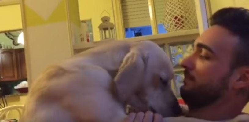NEPROCJENJIVO: Pogledajte kako ovaj pas traži oproštaj od gazde zagrljajem (VIDEO)
