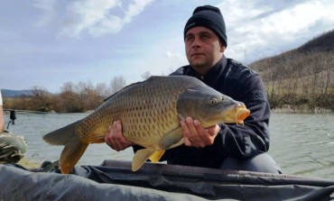 Jezero Starača - Ulovljen šaran od 15 kilograma