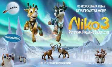 "NIKO 3 - PUTEVIMA POLARNE SVJETLOSTI" od sutra u BH kinima
